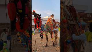 Mere Baba Jaharveer #GogamediMela2025 #gorakhtilla #gogamedidham #gogamedilive #gogamedimela