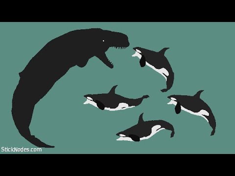 Livyatan VS Orca Pod