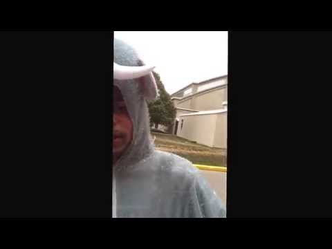 Matt Johnson. His thoughts about. . Something
