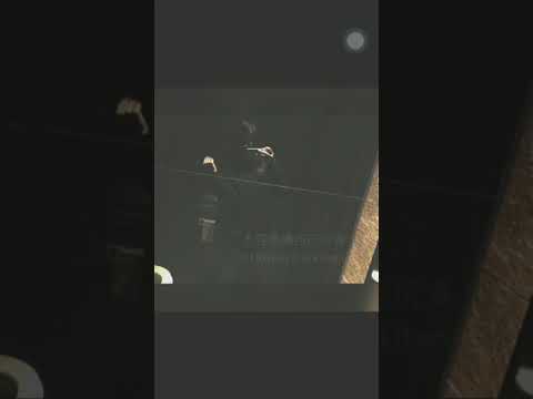 抖音#3