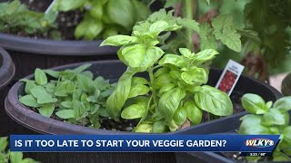 Above the Dirt discussing spring planting, dispels common misconceptions