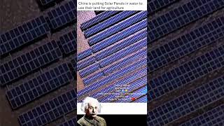"China’s Genius Move: Solar Panels on Water! 💧☀️🌾"#SolarInnovation
