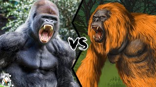 Gorilla VS Gigantopithecus - The only primate that could have defeated a gorilla
