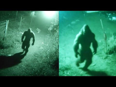 SASQUATCH CAUGHT On Security Camera | Bigfoot Encounter UP CLOSE
