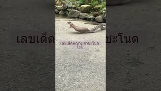 #ขอให้โชคดีร่ำรวย  #เลขเด็ดพญางู #คำชะโนด #shorts