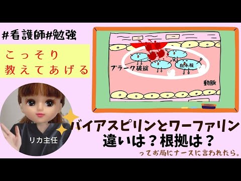 「バイアスピリンとワーファリンの違い」何？根拠は？ってお局看護師に聞かれたら。＃抗凝固薬#抗血小板薬