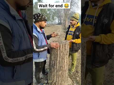 पेड || kaatne gardan🤬 || नहीं😡😡#funny #comedy #shorts