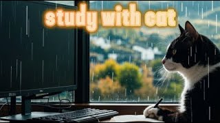 Jazz Radio 📚 Study With Cat/Live
