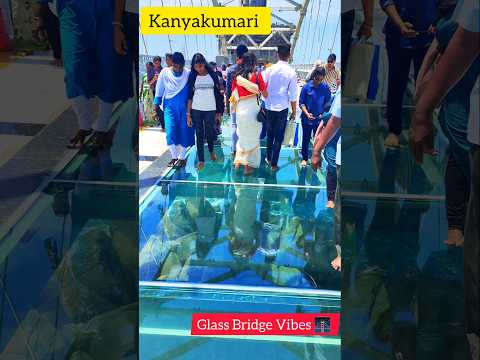 Dare to Walk? 😱 Kanyakumari Glass Bridge Thrill! 🌉✨ #TravelDiaries #BucketList #India #glassbridge