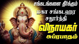 🔴 LIVE | மகா சங்கடஹர சதுர்த்தி கேட்க வேண்டிய விநாயகர் சுப்ரபாதம் Vinayagar Tamil Suprabatham Songs