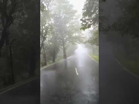 #taubatauba #rain #buget2024 #nature #bollywood #music #song #newsong #travel