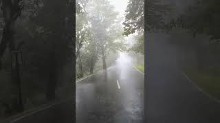 #taubatauba #rain #buget2024 #nature #bollywood #music #song #newsong #travel