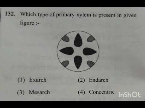 Biology Question #1 | Anatomy of flowering plants #biologyfacts #neet #neetprep #biology #shorts 