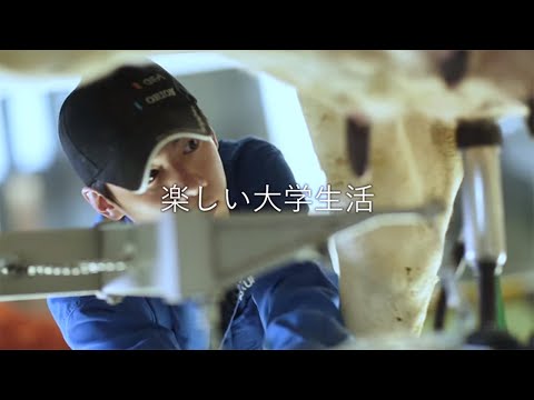 酪農学園大学　15秒CM「実習」篇