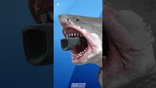 Who is the Biggest? Meg vs Bloop