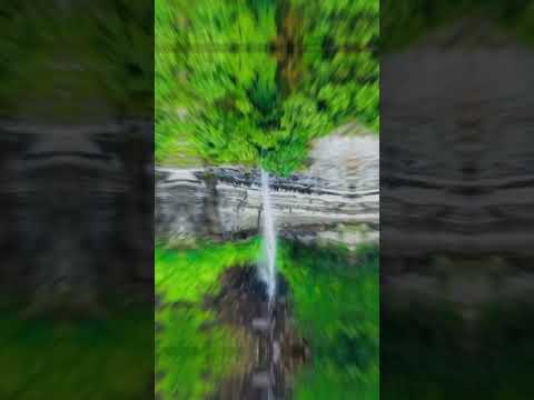 Bangladeshi green forests 🌳 #dance #automobile #varisufromjan11 #dancehall #edit #varisupongal good