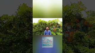1 36 Arjuna Vishada Yoga #spirituality #gita #bhagavadgita #life #geeta #hinduscripture #motivation