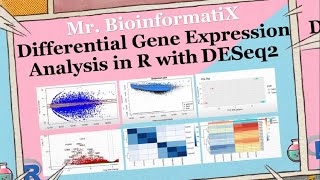 Differential Gene Expression Analysis in R with DESeq2 | Bioinformatics for Beginners