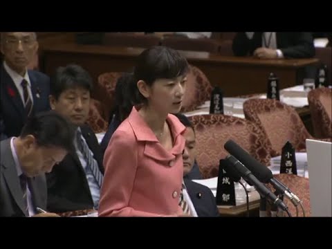 【佐々木さやか】参議院予算委員会 ～2014年10月8日
