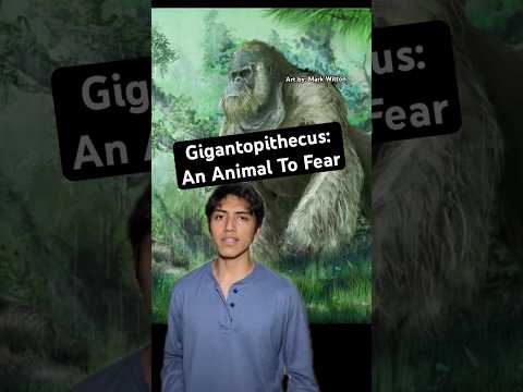 Gigantopithecus: An Animal To Fear #prehistoric #animal #horror #nature #apes