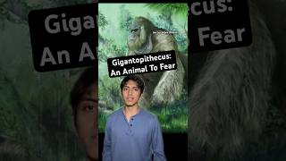 Gigantopithecus: An Animal To Fear #prehistoric #animal #horror #nature #apes