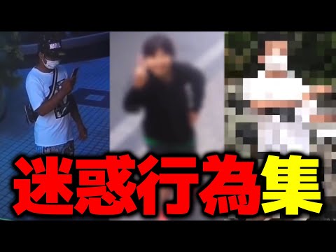 不審者の迷惑行為集【はじめしゃちょーの畑 切り抜き】