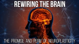 Rewiring the Brain: The Promise and Peril of Neuroplasticity