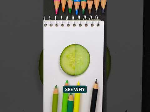 I Test Super Expensive Colored Pencils #drawingtutorial #drawing #art #howtodraw