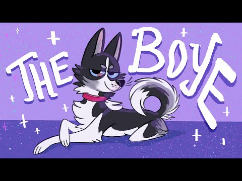 ✨ - here comes the boye - ✨