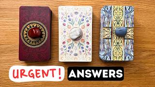 Urgent Answers Sent From Your Spirit Guides! 💎⏐PICK A CARD