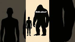 Gigantopithecus: The Giant Ape That Might Not Be Extinct!