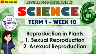 Science 6 Term 1 Week 10 - Reproduction in Plants1. Sexual Reproduction 2. Asexual Reproduction