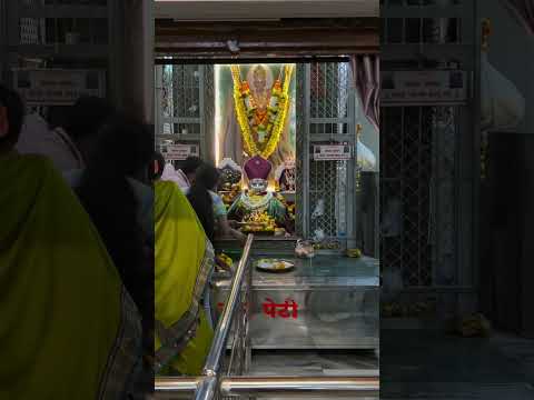 #swami #swamisamarth #swamibhakti #akalkotswamisamarth #maharashtra #ytshorts #akkalkot #devtional