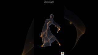 nadaniyan viral dance!!#shorts#yshorts #dance #trending #viralvideos #viralvideo#nadaniya#solocomedy