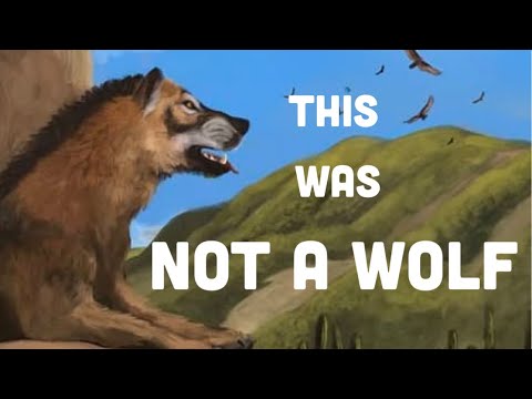 Extinct Records: Dire Wolf