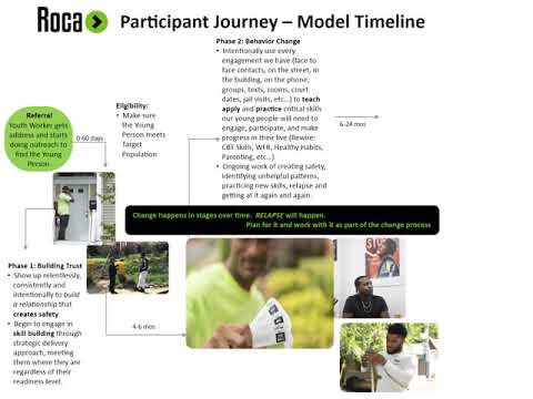Participant timeline
