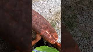 funny driver #music #follow #driver #followforfollowback #followme #followback #box #truck