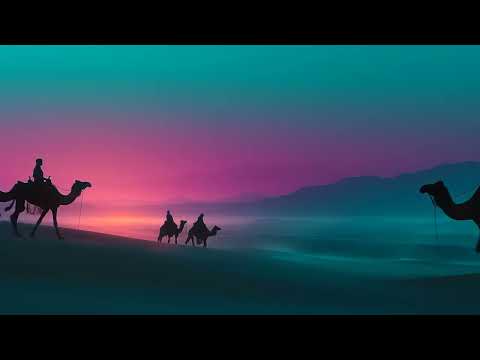 Chasing sunsets through the dunes 🌅 (tuareg synthwave playlist)