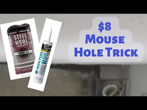 Save $300 with this easy $8 Mice Hole Filler Tip