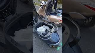 Ola S1 Pro VS TVS Iqube VS Chetak - Quick look at their Under storage #shorts #ola #iqube #chetak