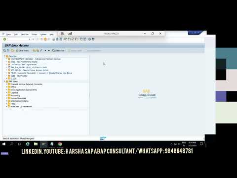 Types of packages in sap abap? Local objects in abap