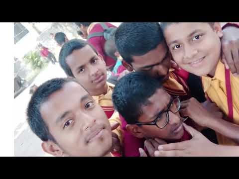The Essence of True Friendship - A Heartwarming Journey"