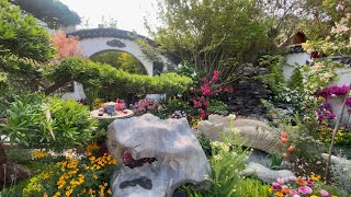 HONG KONG FLOWER SHOW 2025 | GARDEN PLOT DISPLAY | TUEN WAN DISTRICT | JOY WANDERS