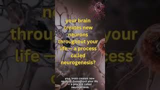 Did you know? #youtubeshorts #brainlearning #didyouknow #shorts #shortsfeed #facts #factsyoudontknow