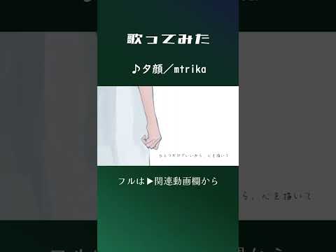 夕顔  #歌ってみた #mtrika #歌コレ2025春TOP100