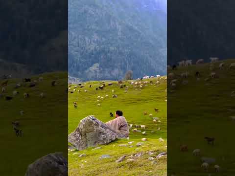 Kashmir view #shorts