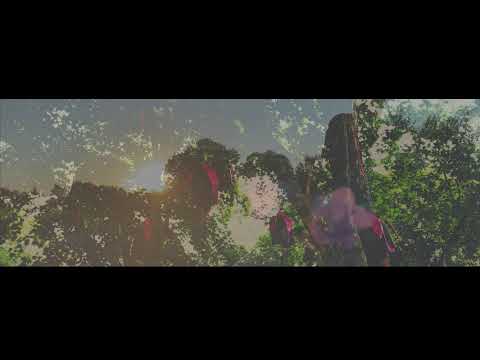 Hush Forever - That's where you'll find me (Official Video)