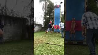 Get Fit Fast with This Crazy Pitbull Workout!😱😳 #shortsfeed