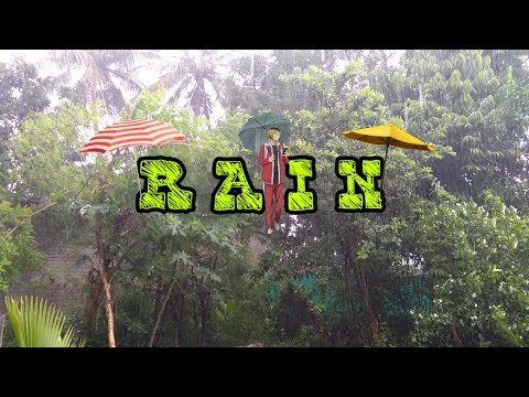 Rain Shots | Nature Shots | VMG'S  Kitchen & Vlogs