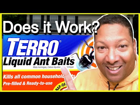 TERRO Ant Bait Traps Killer Liquid and Granules Review | How to Use, Does it work, Application